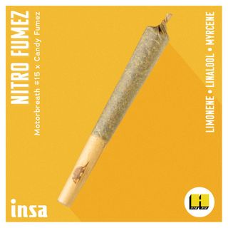 Nitro Fumez I.N.S.A.