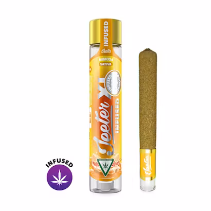 Mimosa XL