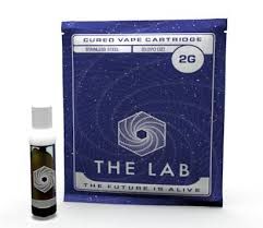 24k Gold Punch The Lab