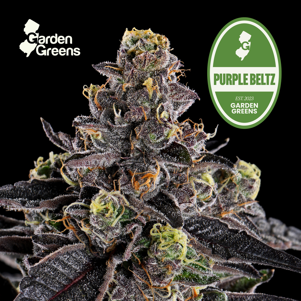 Purple Beltz
