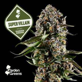 Super Villain Garden Greens