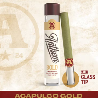 Bold Acapulco Gold Anthem