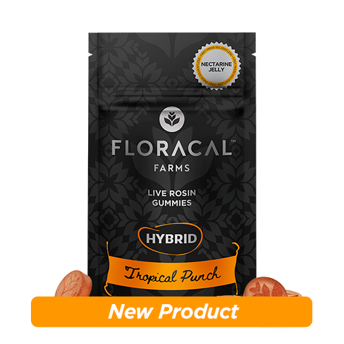 Tropical Punch x Nectarine Jelly FloraCal