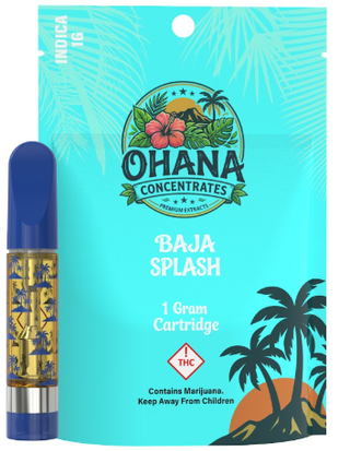 Baja Splash Ohana