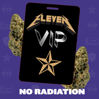 Hush Money Eleven VIP
