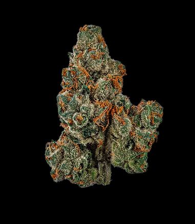Papaya Crush Glass Meadows 