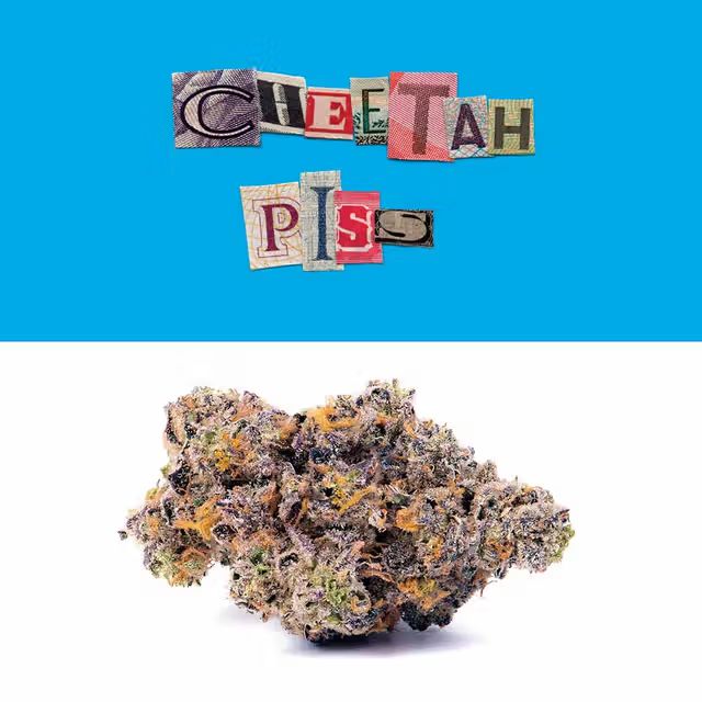 Cheetah Piss 3.5G Cookies