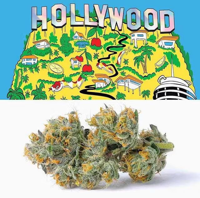 Hollywood 3.5G Cookies