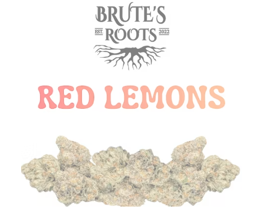 Red Lemons Brute's Roots