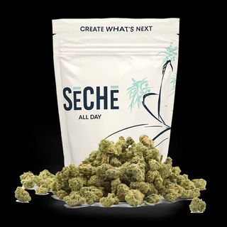 Mind Melt SeCHe