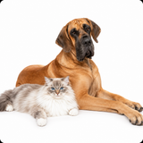 Buy Pet Wellness Cannabis