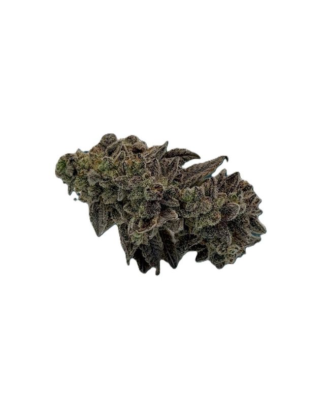Cobra Cabana Battenkill Buds