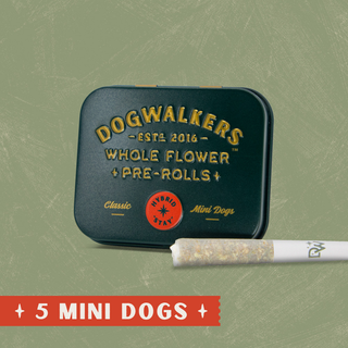 Gogurtz Dogwalkers
