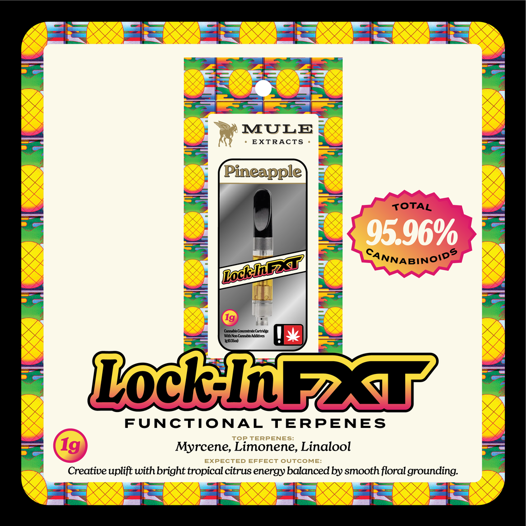 Pineapple – Lock In 510