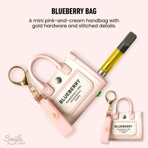 Pursejamin SMYLE Labs