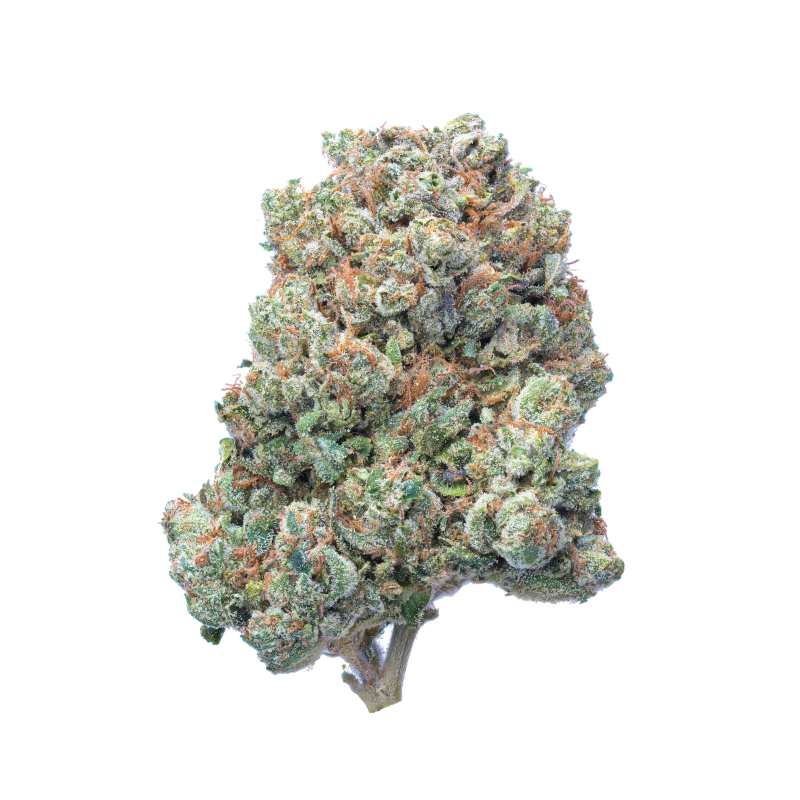 SFV OG