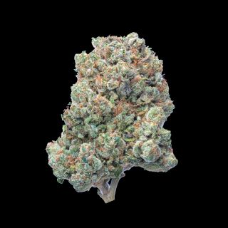 SFV OG Tao Gardens