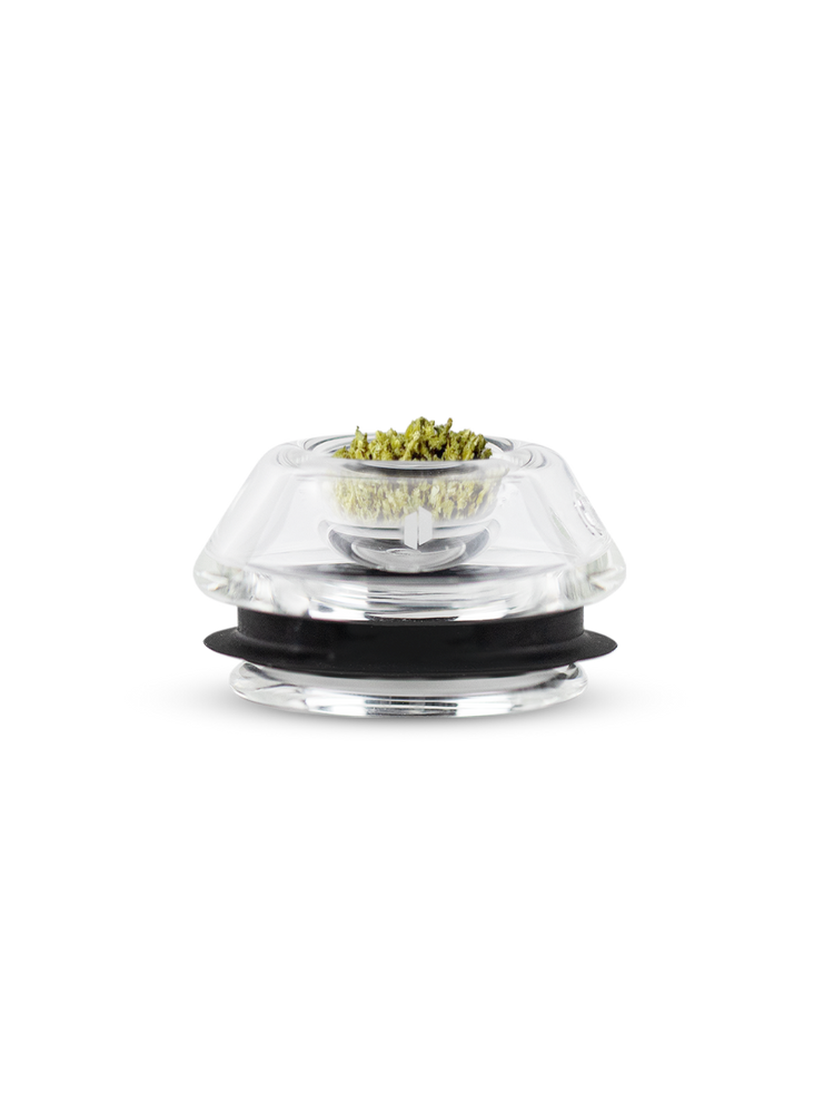 Proxy Bowl Glass