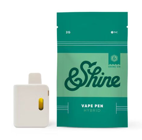 APPLE FRITTER &SHINE