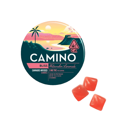 Watermelon Lemonade