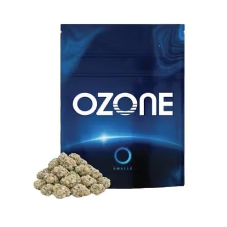 GMO OZONE
