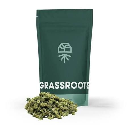 Fuzzy Navel Grassroots
