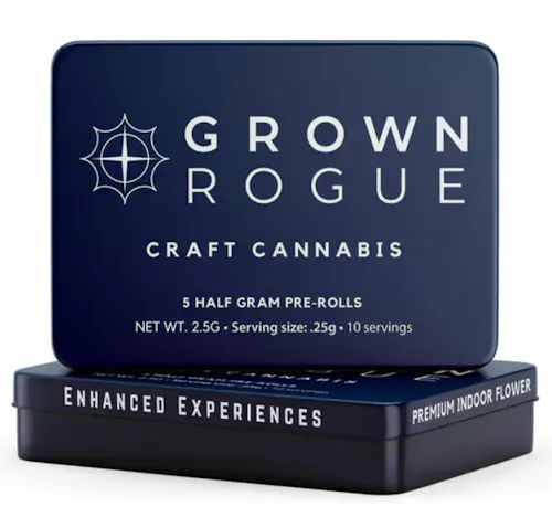 Permanent Power Grown Rogue Permanent Power Grown Rogue