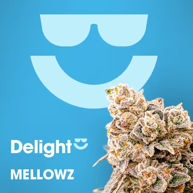 Mellowz Delight