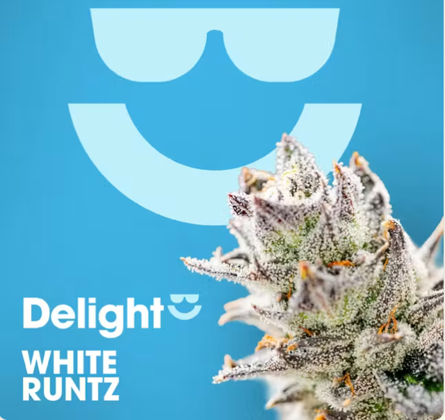White Runtz Delight White Runtz Delight