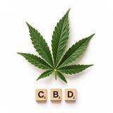 Buy CBD Products Cannabis