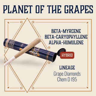 Cannabis Promo, Cannabis Sales, Cannabis Discounts, Cannabis on Sale, $10 Elevate 1g Pre-Rolls 1
