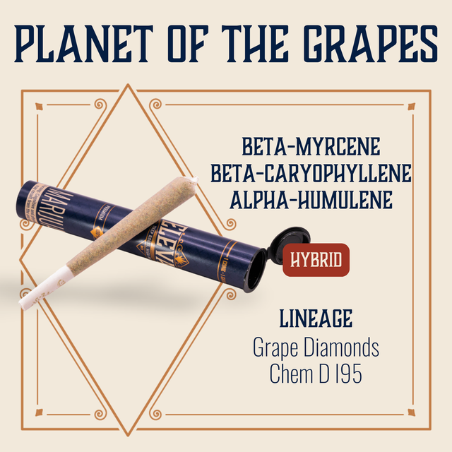 Planet of the Grapes Elevate