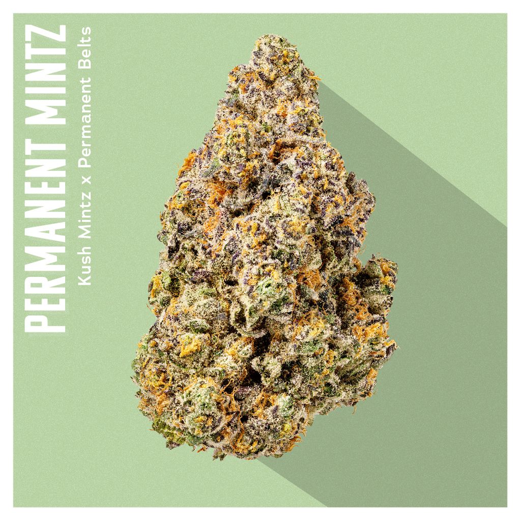 Permanent Mintz