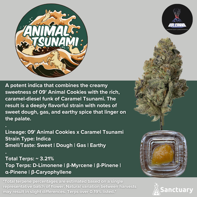 Animal Tsunami - Cured Resin Volcanna