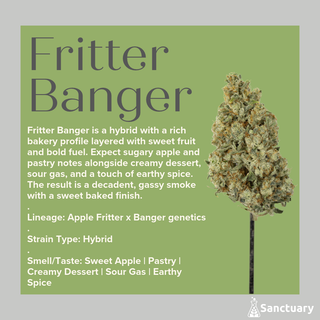 Fritter Banger Sanctuary