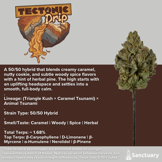 Cannabis Promo, Cannabis Sales, Cannabis Discounts, Cannabis on Sale, 2 for 40 Sanctuary Eighths! 1