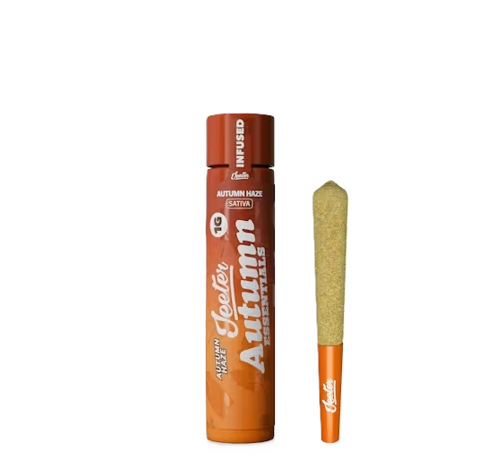 Autum Haze Jeeter