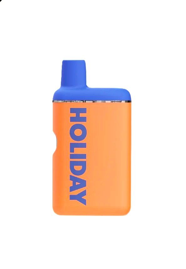 Leisure Holiday