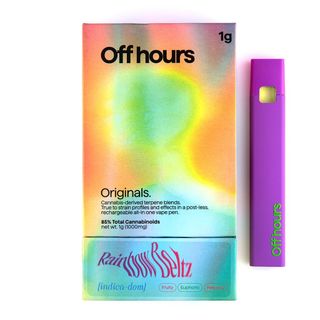 Rainbow Beltz Off Hours