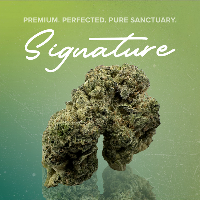 Deep Fried Ice Cream Sanctuary Cannabis Deep Fried Ice Cream Sanctuary Cannabis