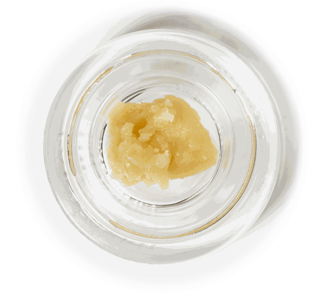 HASHBURGER GROW SCIENCE