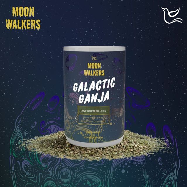 INDIGO OUTLAW MOONWALKER