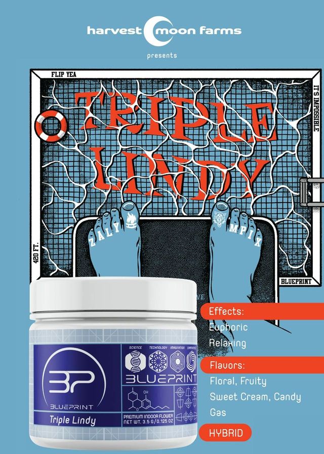 Triple Lindy Blue Print Triple Lindy Blue Print