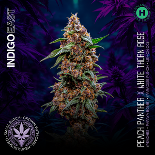 Cannabis Promo, Cannabis Sales, Cannabis Discounts, Cannabis on Sale, Indigo East 2