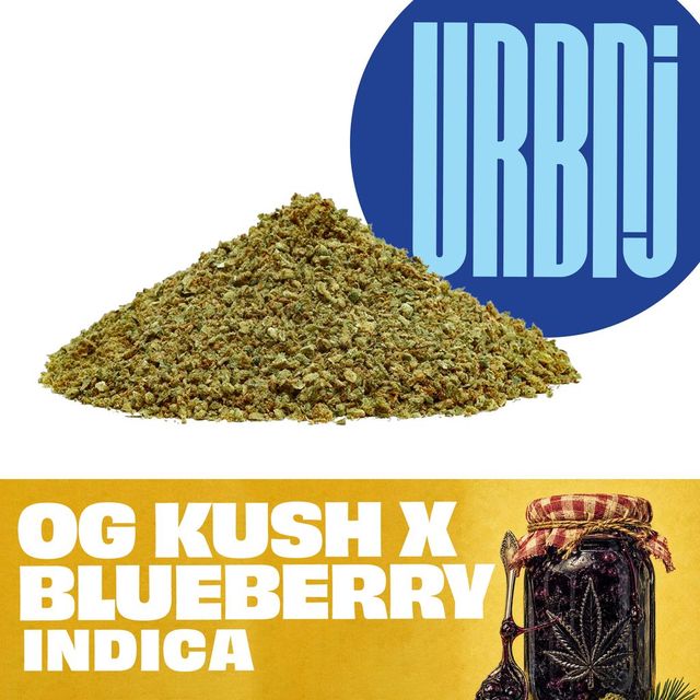 OG Kush X Blueberry URBNJ