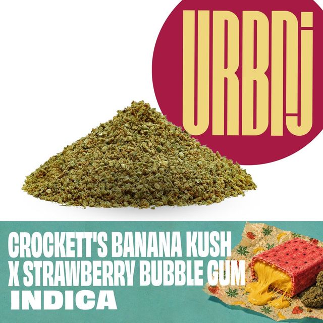 Crockett's Banana Kush x Strawberry Bubble Gum URBNJ
