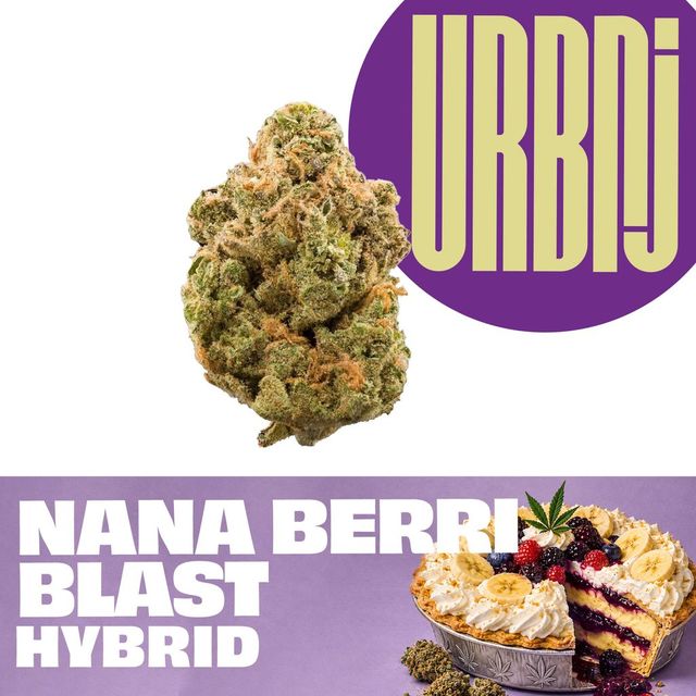 Nana Berri Blast URBNJ