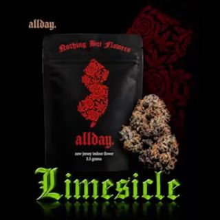 Limesicle Allday