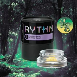 Animal Scout Rythm