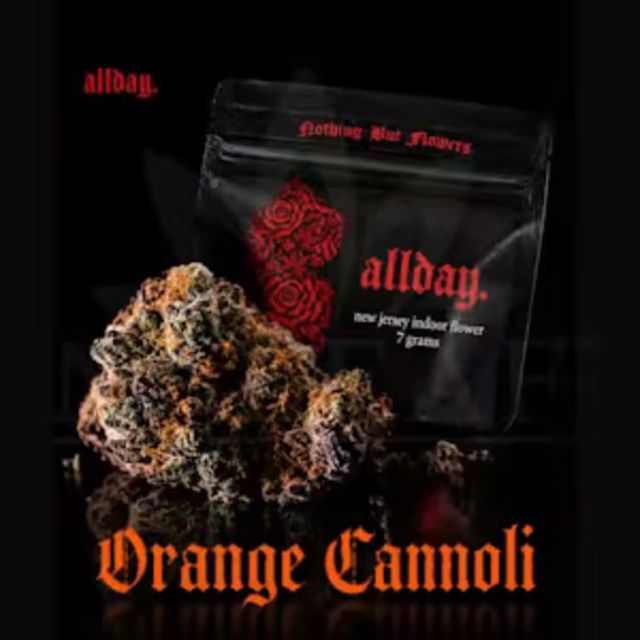 Orange Cannoli Allday